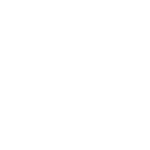 Logo Brandaris (WIT 10x10cm )